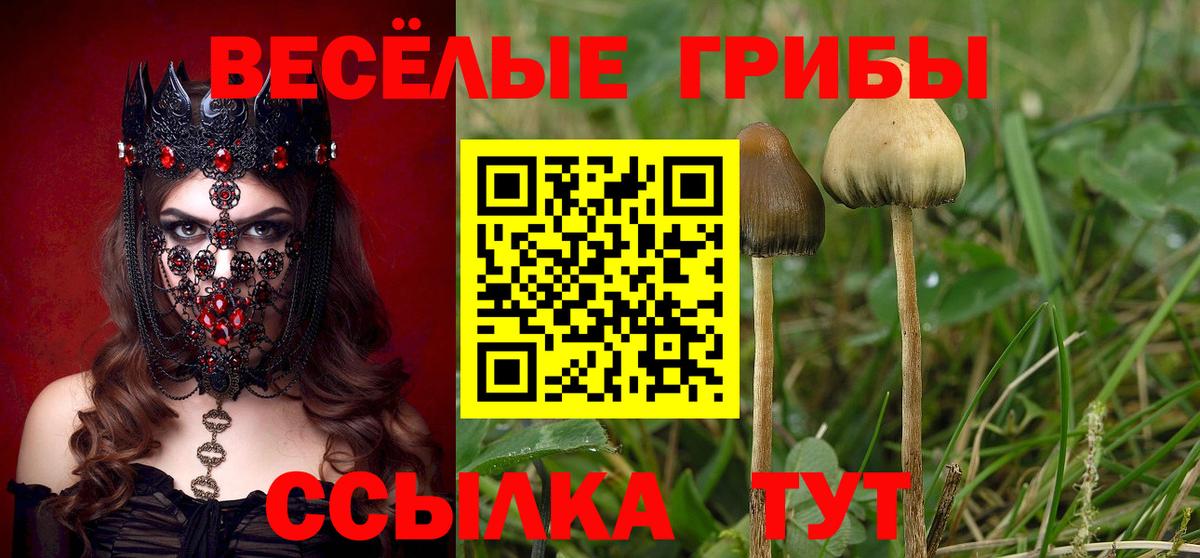 Псилоцибиновые грибы мицелий Серпухов