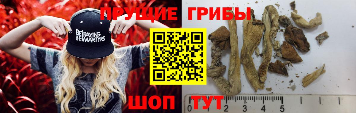 Псилоцибиновые грибы Magic Shrooms  Вход с VPN  Серпухов 